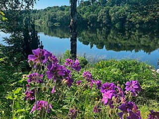 Maison de vacances Bryrup Enregistrement extérieur 9