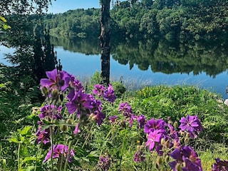 Vakantiehuis Bryrup Buitenaudio-opname 9