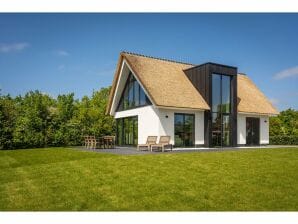 Holiday house Pet-friendly villa with sauna - De Cocksdorp - image1