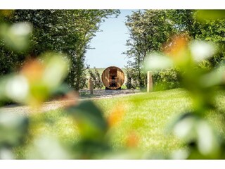 Maison de vacances De Cocksdorp  33