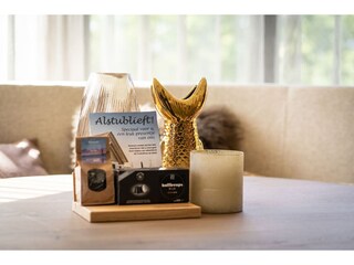 Vakantiehuis De Cocksdorp  33