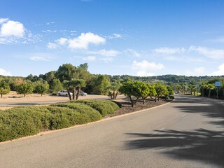 Villa San Miguel de Salinas Environnement 38