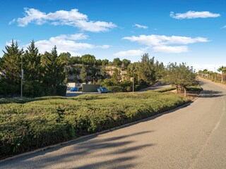 Villa San Miguel de Salinas Ambiente 36