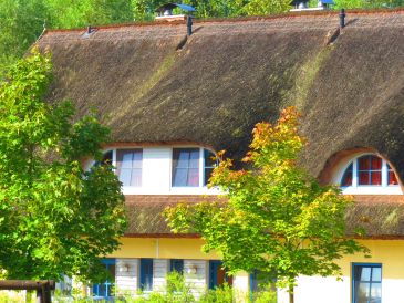Ferienhaus Puddeminer Wiek