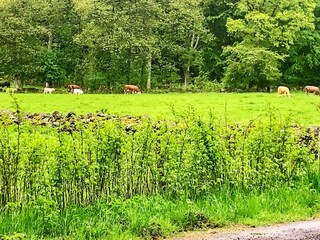 Vakantiehuis Sösdala  18