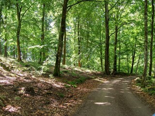 Casa de vacaciones Sösdala  34