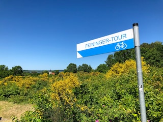 Der Feininger-Radweg führt bei uns direkt vorbei.