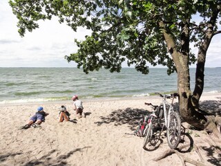 Und auch zum Achterwasser ist es nicht weit.