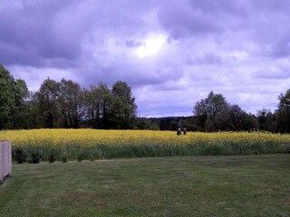 Type de propriété : Chalet Anzex Environnement 28