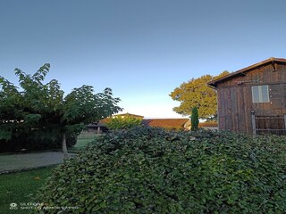 Casale Anzex Registrazione all'aperto 2