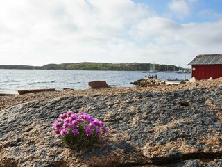 Maison de vacances Hunnebostrand  18