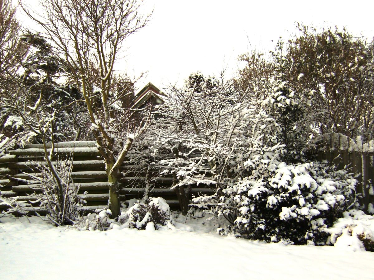 Garten im Winter