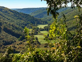 Holiday house Kringa Environment 37