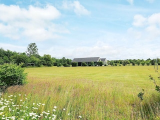 Ferienhaus Virksund Außenaufnahme 8