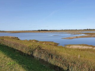 Casa per le vacanze Rødby  33