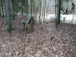 Ferienhaus Vaeggerløse Außenaufnahme 3