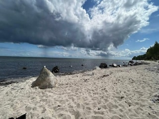 Ferienhaus Vaeggerløse Außenaufnahme 11