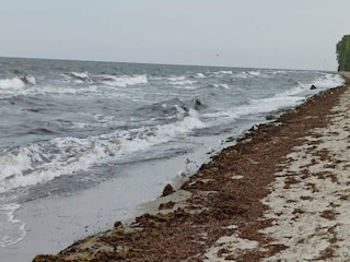 Ferienhaus Vaeggerløse Außenaufnahme 20