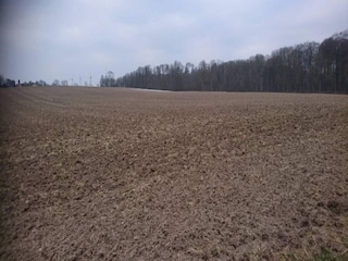 Ferienhaus Vaeggerløse Außenaufnahme 13