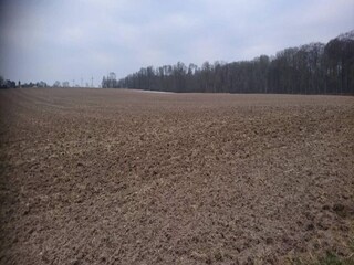 Vakantiehuis Vaeggerløse Buitenaudio-opname 14