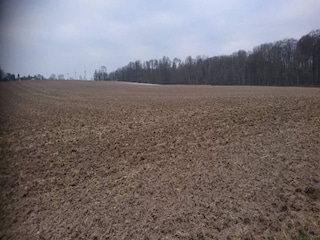 Ferienhaus Vaeggerløse Außenaufnahme 8