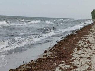 Maison de vacances Vaeggerløse Enregistrement extérieur 20