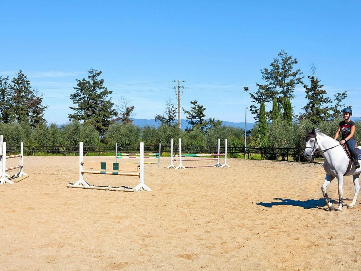 Ferienpark Fucecchio Außenaufnahme 11