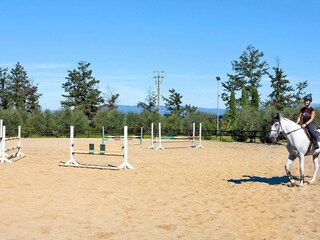 Ferienpark Fucecchio Außenaufnahme 9
