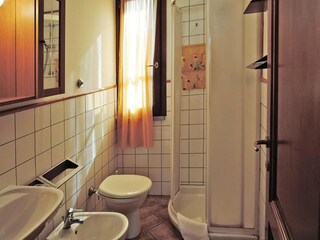 Vakantiepark Fucecchio Kenmerken 19