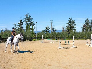 Ferienpark Fucecchio Umgebung 16