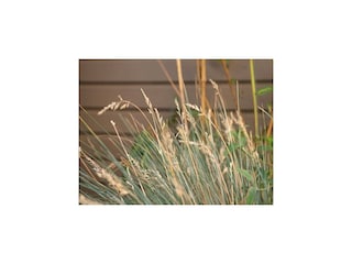 Appartement Lübow  25