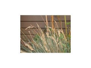 Apartment Lübow  33