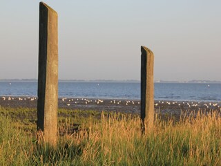 Appartement de vacances Dangast Environnement 34