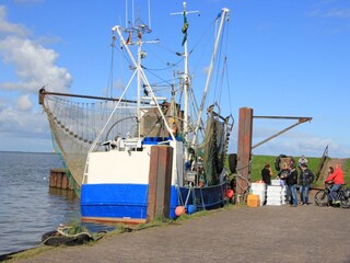 Appartement de vacances Dangast Environnement 30