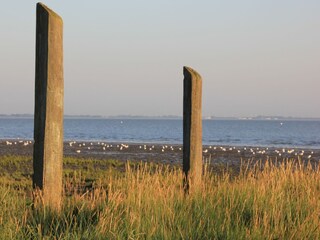 Vakantieappartement Dangast Omgeving 24