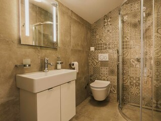 Villa Ladrovići Caratteristiche 25