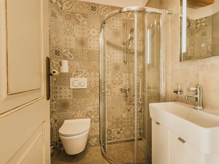 Villa Ladrovići Caratteristiche 29