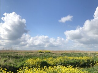 Casa a schiera Lemmer Ambiente 35