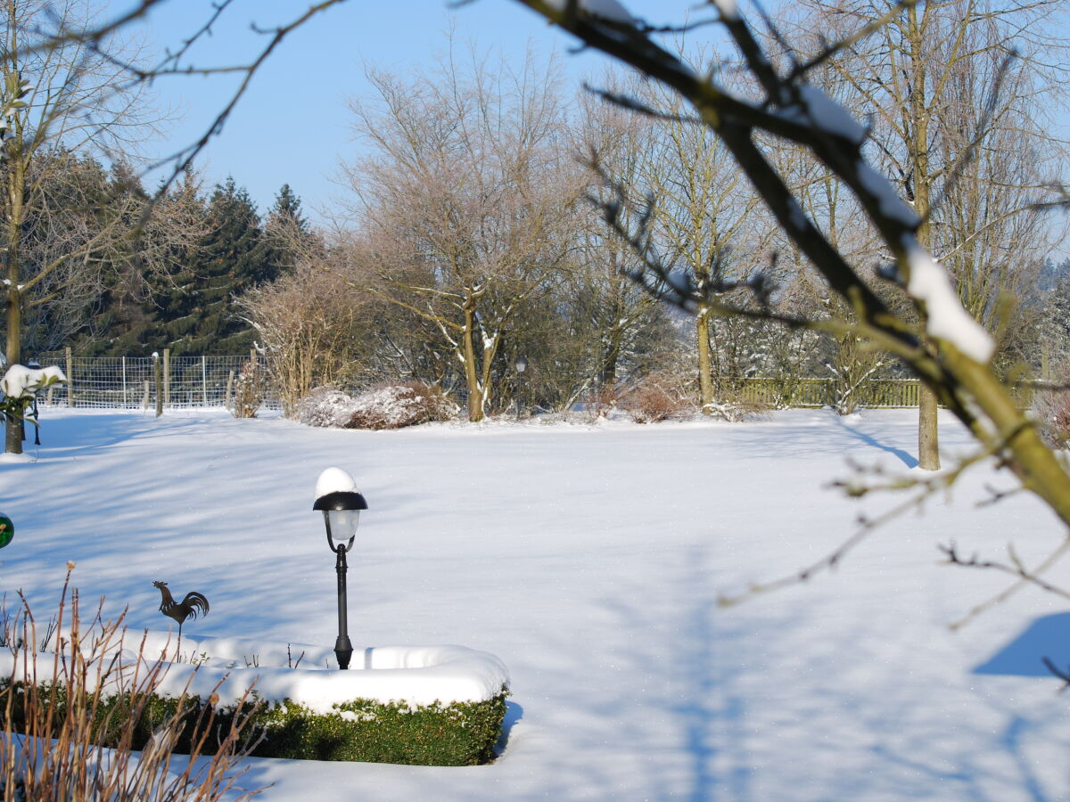 Winterlicher Blick  aus dem Wohnzimmer