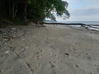 Casa de vacaciones Vaeggerløse  22