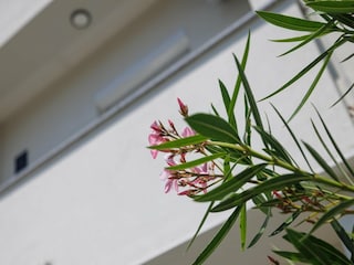 Appartement Županje  39