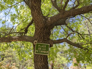 Villa Roussillon (Vaucluse) Registrazione all'aperto 11