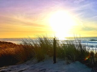 Holiday house Biscarrosse Environment 26