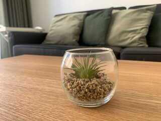 Ferienwohnung Wangerooge Ausstattung 9