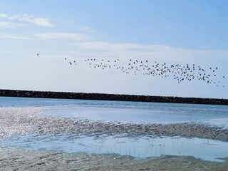 Casa per le vacanze Ebeltoft  57