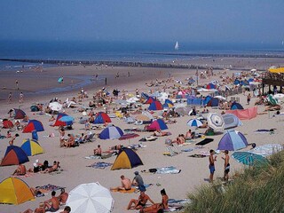 Appartamento per vacanze Cadzand-Bad Ambiente 17