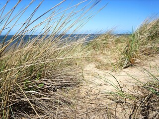 Casa per le vacanze Julianadorp Ambiente 21