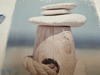 Casa per le vacanze Carolinensiel Caratteristiche 14