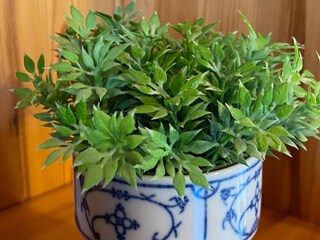 Casa per le vacanze Carolinensiel Caratteristiche 15