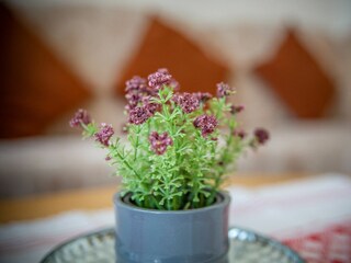 Appartamento per vacanze Carolinensiel Registrazione all'aperto 12